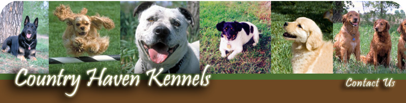 Contact Country Haven Kennels